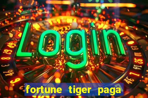 fortune tiger paga de madrugada